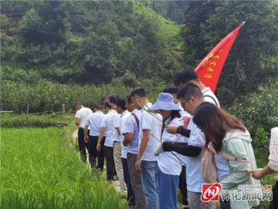 湖南农业大学农学院博士团到中方县铁坡镇调研白丝糯稻谷种植